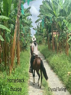 cover image of Horseback Escape